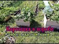 Картофель в коробе.  Работа над ошибками