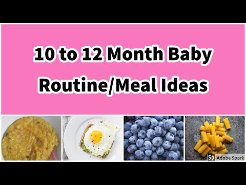 10-to-12-month-baby-food-chart-in-tamil/baby-food-recipes/ramy's-arusuvai-kitchen