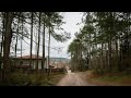 When the Forest Is Your Backyard 🌲Calm Forest Walk 4K