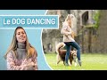 Commencer le dog dancing avec ton chien les bases pour dbutant