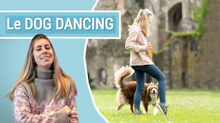 COMMENCER LE DOG DANCING avec ton CHIEN (Les bases pour Débutant) by The flash dogs 1,297 views 3 months ago 5 minutes, 35 seconds