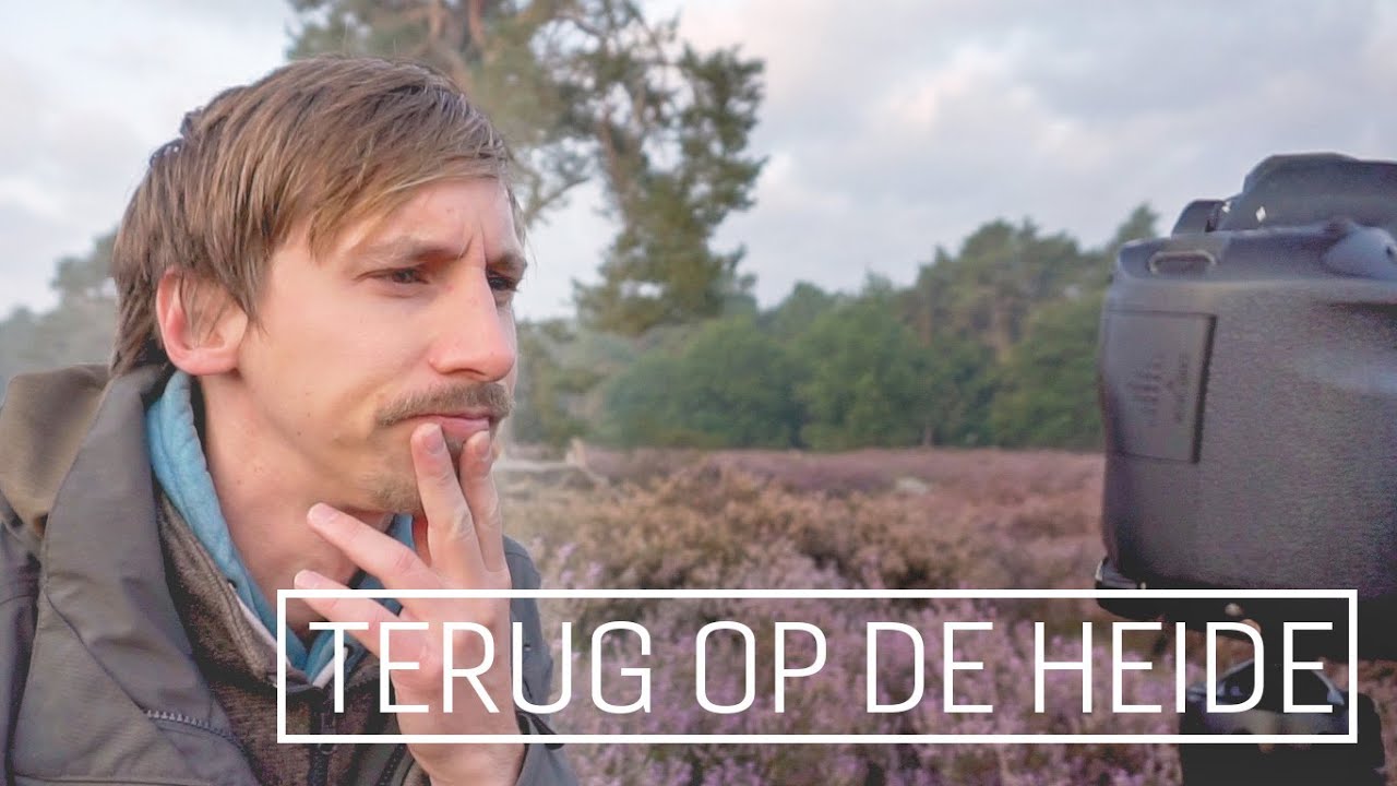 TERUG op de HEIDE - LANDSCHAPSFOTOGRAFIE in de LOONSE DUINEN