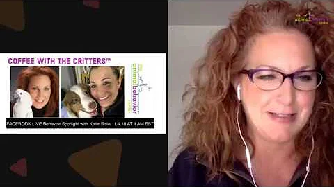 Coffee With The Critters - Behavior spotlight   Ka...