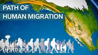 human migration cartoon