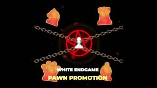 When you promote your pawn in endgame💪. #chess #chessgame #checkmate #chessedits #chessedit #shorts