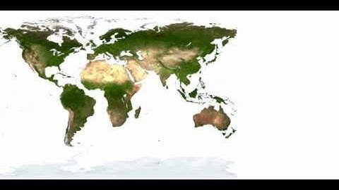 Pangaea model developed with the Seam Carving algorithm