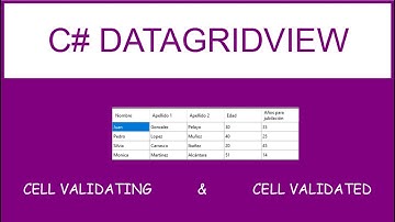 C# - DataGridView : Eventos CellValidating y CellValidated