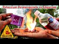 Potassium permangnet and glycerine reaction  experiment  science project  explosion 