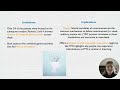 Paper Presentation on Neural Connectivity in the Dying Human Brain by Xu et al PNAS