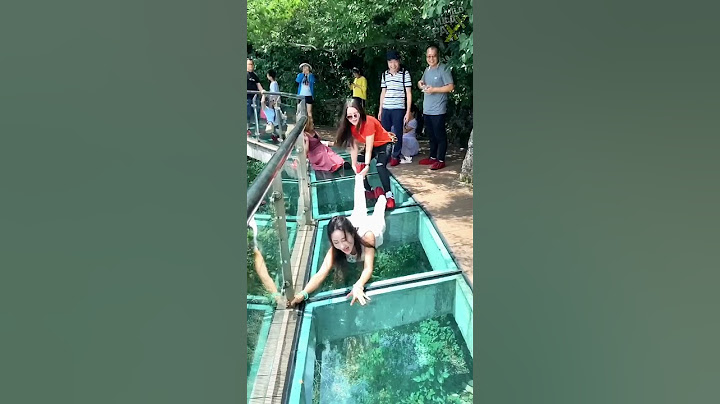 Questo ponte di vetro si è appena rotto! 😨😱