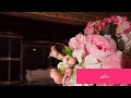 كوشة زفاف Decoration ديكور حفلات أعراس أفراح عمل كوشات اعراس منزلية كوشات اعراس منزلية 