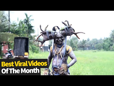 Top 20 Best Viral Videos Of The Month - August 2021