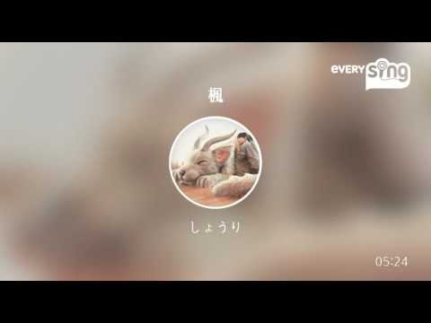 [everysing] 楓