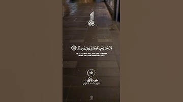 تلاوة عطرة لآيات من كتاب الله #القرآن_الكريم #اكسبلور #foryou #راحة_نفسية #fyp