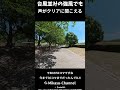 【Insta360 X6】台風並みの強風でも 声がクリアに聞こえる