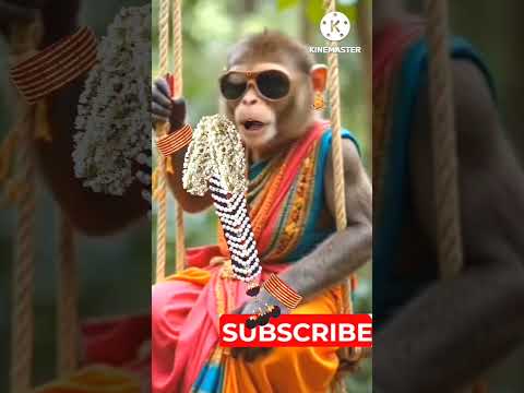 Bulletu Bandi Song Folk Songs Shorts Viral Treanding Monkey