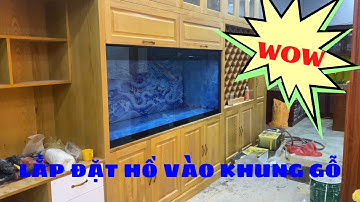 Khảm Hồ Ốp Công Nghệ Vào Khung Gỗ | Hồ Cá Rồng Hoàng Lam | HLA