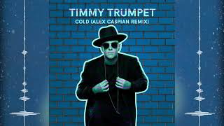 Timmy Trumpet - Cold (Alex Caspian Remix)