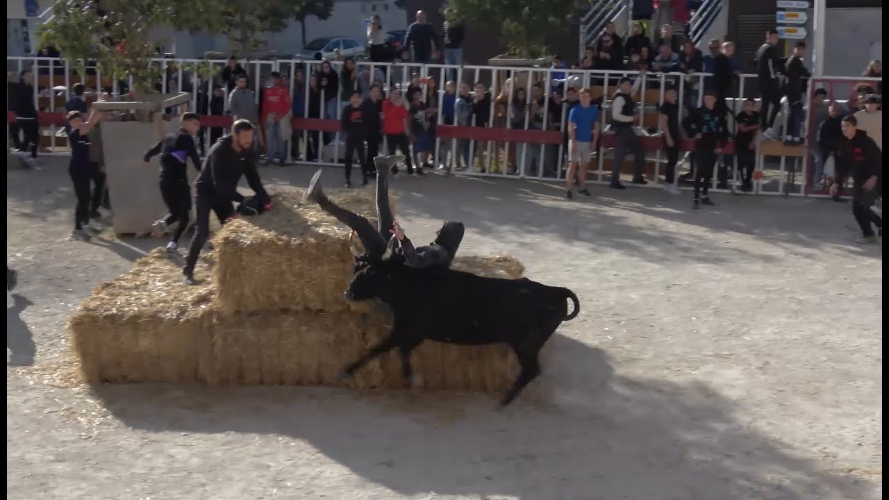 LUNEL ▶COURSE AU PLAN◀ 28.10.2023.