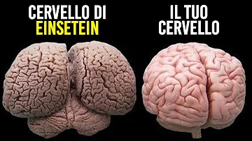 Che cosa scopri Einstein?