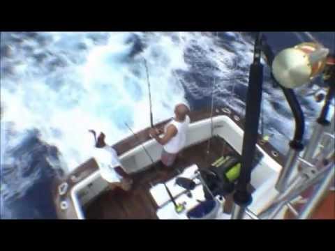 Sailfish pack attacks- Tami Island Nov 2010