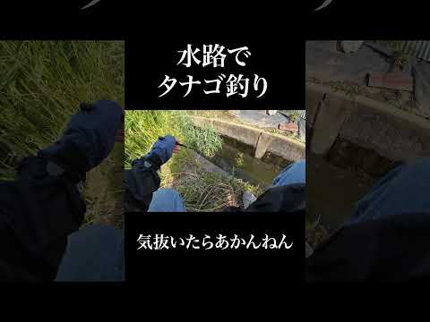 気抜いたらあかんねん。タナゴ釣り