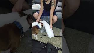 Dinario Ava Love Their New Bed Use Code Socalbostons For 10% Off