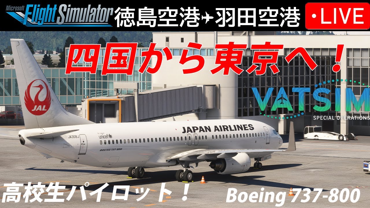 【高校生パイロット】徳島→羽田 JAL646｜B737-800でリアル運航✈️【VATSIM】