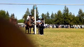 Imperdible jineteada en el socorro provincia de Santa Fe