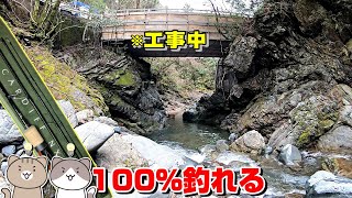 【NEWパックロッド】100%釣れる場所が工事中！渓流解禁ヤマメ爆釣【カーディフNX渓流釣り】