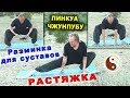 РАСТЯЖКА в тайцзицюань. Разработка тазобедренных суставов в низких позициях. Тайцзи Ветер-Гром