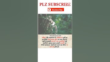 monkey video IPS#SSC#CHSL#CGL#MTS#GDCONSTABLE#SSCJE#BANK#RRB#NTPC#GROUPD#EDUCATIONALWAYINDIA#short