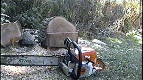 Stihl MS390  Chainsaw START & TEST CUT