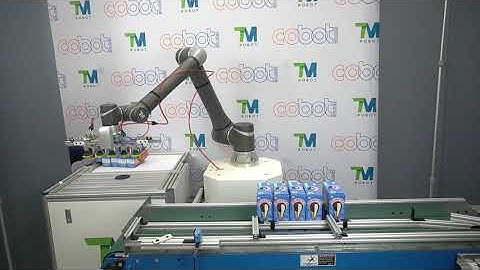 Conveyor Palletizing