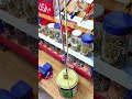 The secret trick to lift heavy buckets with rope and padlock! #LifeHack #DIYTools #RopeTrick
