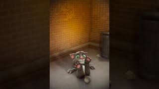 Quero O Nome Chamado Graziele Dava E O Gato Bravo