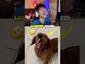 Try Not To Laugh Challenge 66 🤣 #shorts #funny #viral