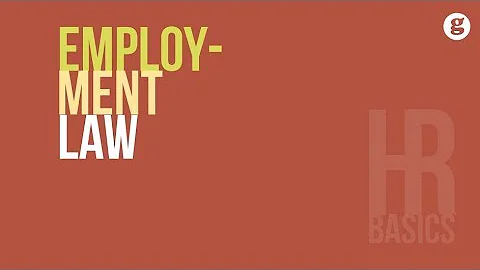 HR Basics: Employment Law - DayDayNews