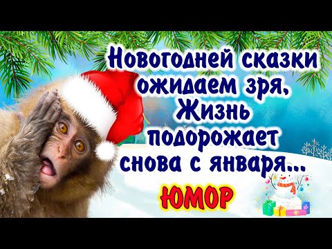 Улыбочку в прекрасный декабрьский день. Предновогодний юмор для Вас! Делитесь с друзьями, улыбайтесь