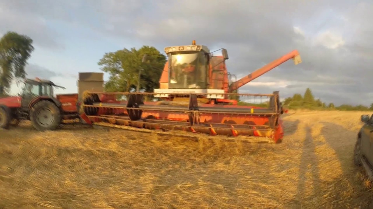 ГОТОВКА С ПОЛЯ НА ФЕРМУ ЧАСТЬ 2 