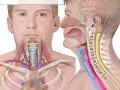 Complications of ACDF | Hematoma Formation | Airway Obstruction | Colorado Spine Surgeon