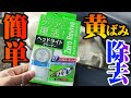 ヘッドライトの黄ばみはゼロリバイブ １本で解決！今年１番の驚き！磨く度にキレイになる、簡単でラクラク♪定番ヘッドライト磨きの力はやっぱりすごかった！