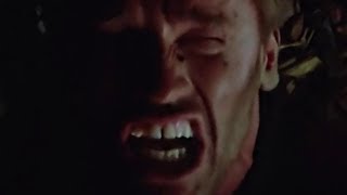 The Predator: An Unbridled Rage screenshot 4