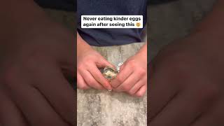 Never eating kinder eggs again after seeing this #lifehackstiktok #life hacks #noway #unfrezzmyacco