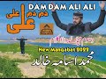 Ali mola ali dam dam official full track  remix  best qawwali  muhammad usama