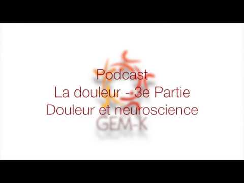 Vidéo: Attitudes Et Croyances Concernant La Douleur Musculo-squelettique Et Son Association Avec Les Connaissances En Neurosciences De La Douleur Chez Les étudiants En Physiothérapie En I