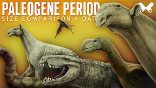 PALEOGENE PERIOD. Animals Size Comparison and Data