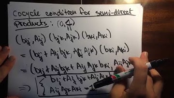Twisted Cocycles = (Vector Bundles + Sections of Vector Bundles)