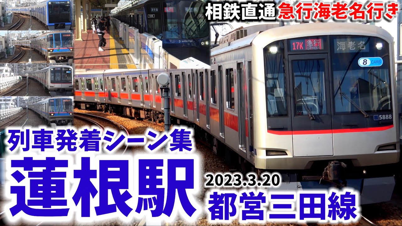 【三田線から相鉄直通列車も】蓮根駅列車発着シーン[都営三田線,三田線,都営地下鉄,相鉄東急直通線]（2023.3.20）