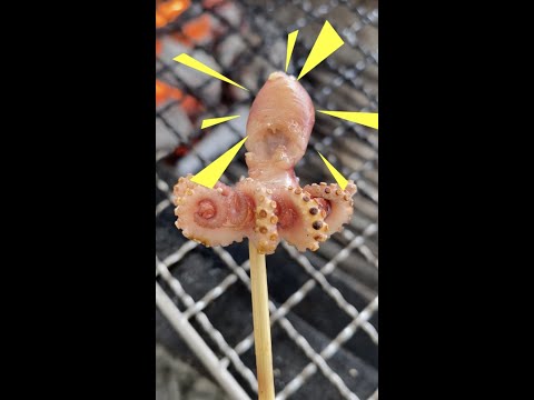 【🇯🇵】octopus‼️タコ‼️BBQ‼️ #Shots